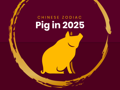 Chinese Pig Zodiac in 2025 Prediction and Guides